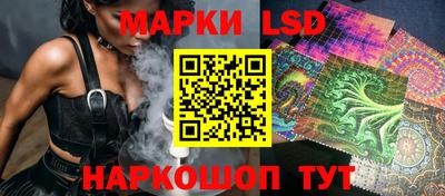 хмурый Тула