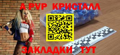 хмурый Тула